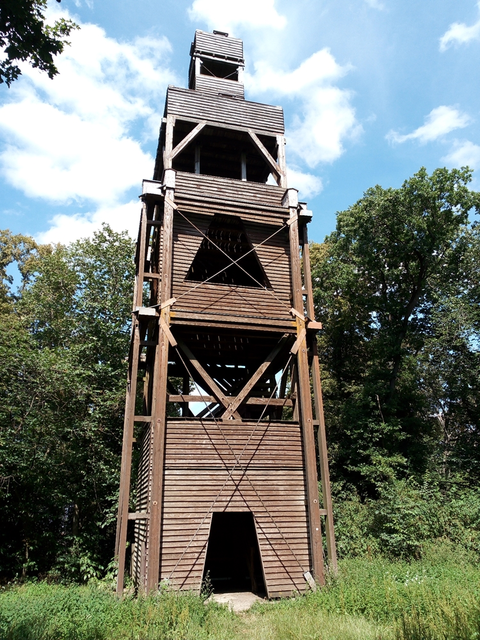 IMG_20200729_152416_3a.webp
