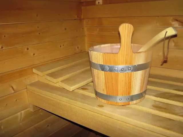 Sauna.webp