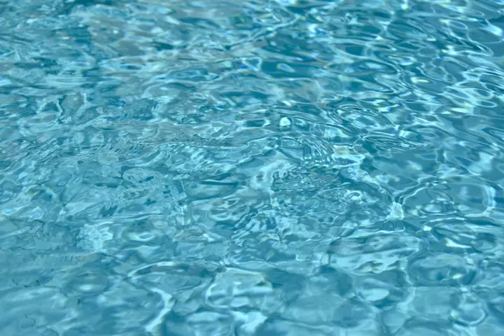 swimming.webp