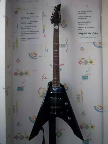 4 Fernandes Vortex X.webp