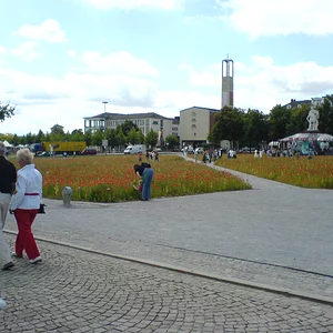 Mohnfeld am Friedrichsplatz zur documenta