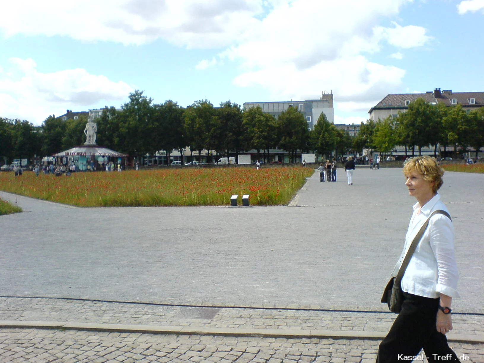 Mohnfeld am Friedrichsplatz zur documenta